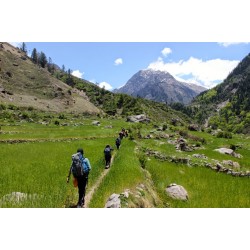 Chopta Chandrashila Trek 4N/5D